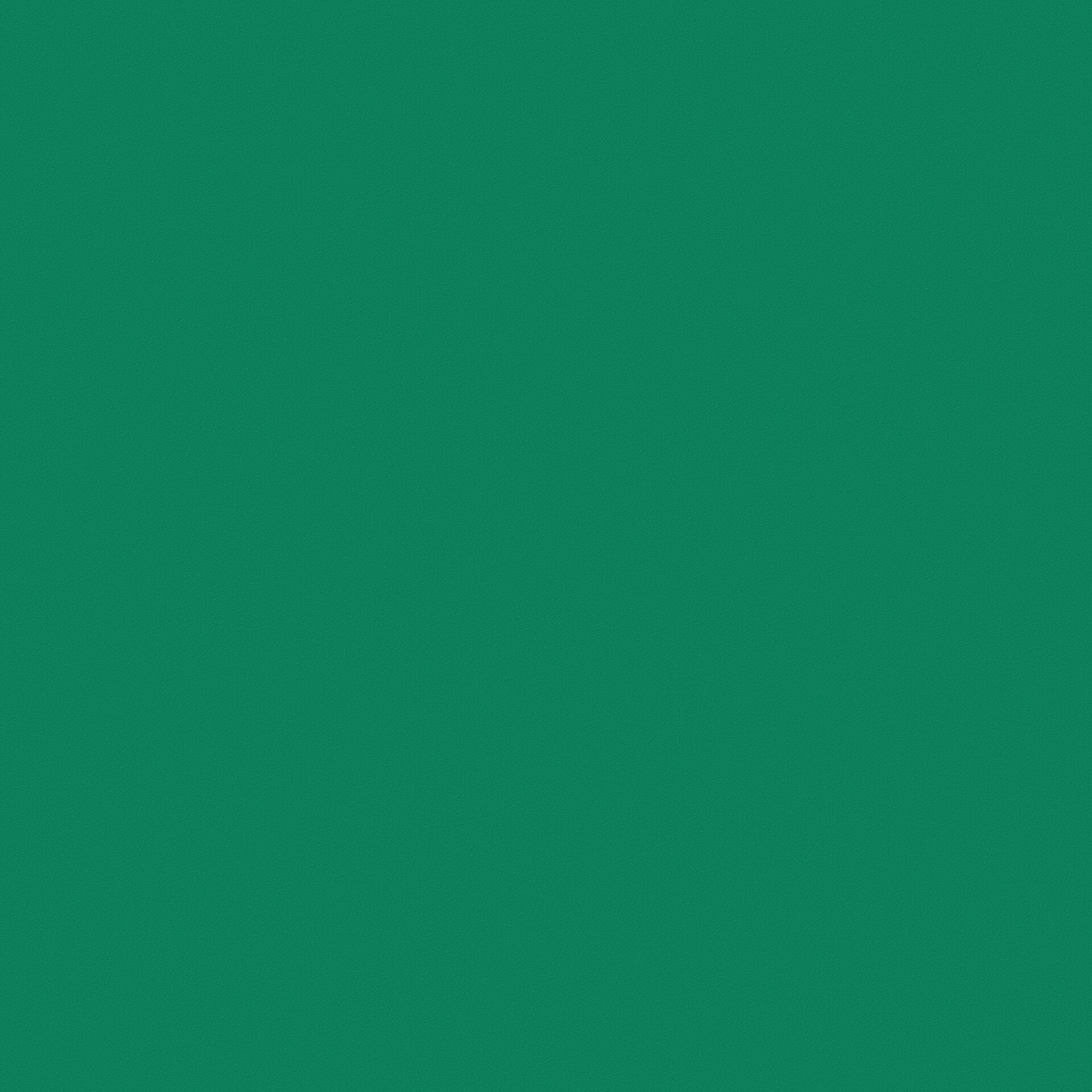 Линолеум Tarkett Omnisport Action 65 Field Green
