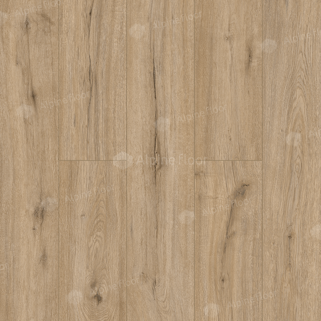 SPC ламинат Alpine Floor Соло плюс (Solo Plus) Ларго