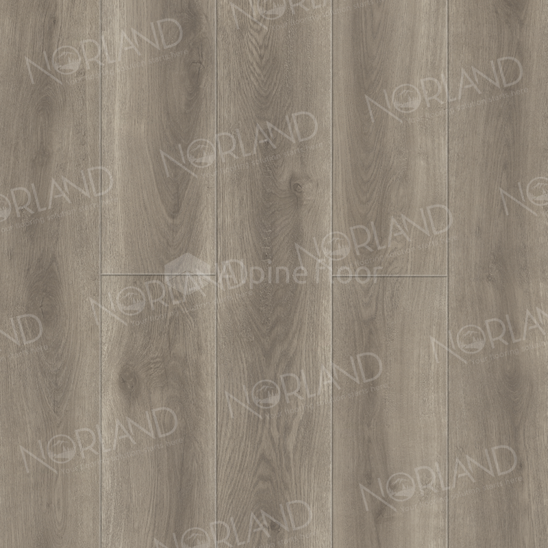 SPC ламинат Norland NeoWood Templet