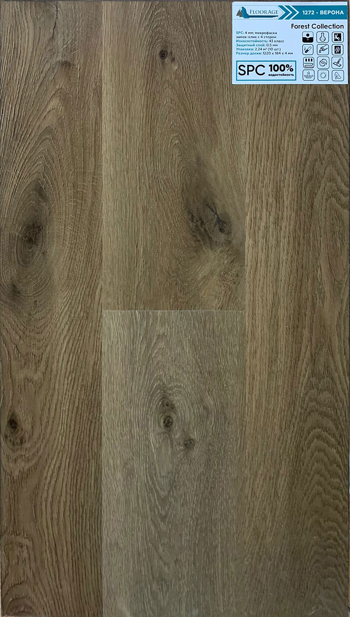 SPC ламинат Floorage Forest Верона