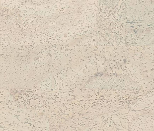 Пробковый пол CorkStyle Cork Pro Fantasie Milk