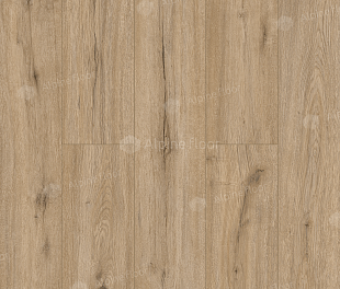 SPC ламинат Alpine Floor Solo Ларгетто