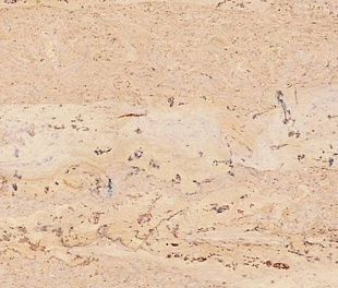 Пробковый пол CorkStyle Natural Cork Comprido Creme