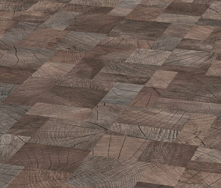 Ламинат Kronotex Dynamic Plus Блоквуд